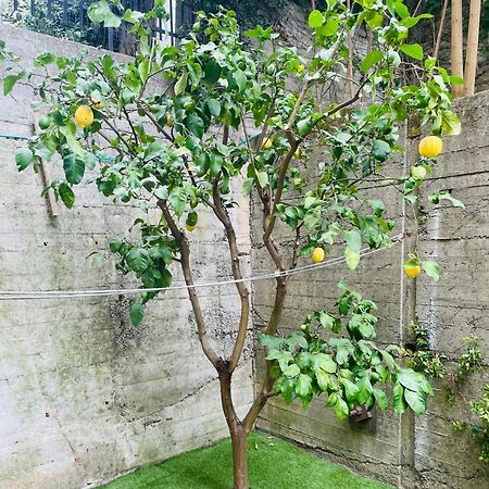 Lemon Tree Resort - Freeparking - Garden Genua Buitenkant foto